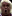 Ric Flair - /wooo/